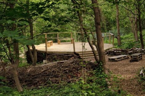 Buckthorne Cutting Nature Reserve